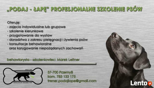Podaj-Łapę Profesjonalne Szkolenie Psów Przemyśl