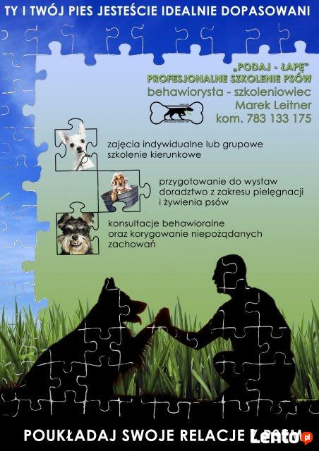 Podaj-Łapę Profesjonalne Szkolenie Psów Przemyśl
