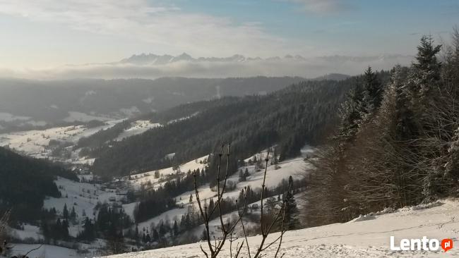 Noclegi/wyżywienie u Ani pod Gorcem