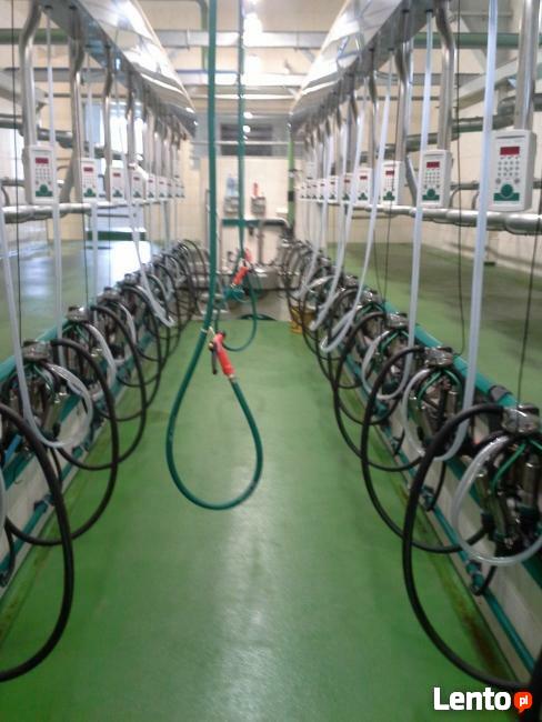 Hala udojowa Westfalia (nowe-używane) z montażem i