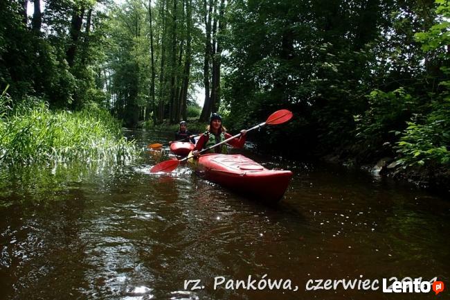 Kajaki, Spływy Kajakowe, Wypożyczalnia, Warta