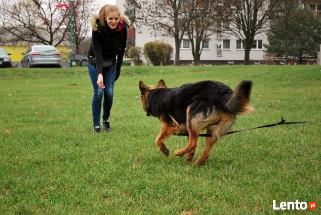 Grupowy kurs posłuszeństwa - Dobrzykowice