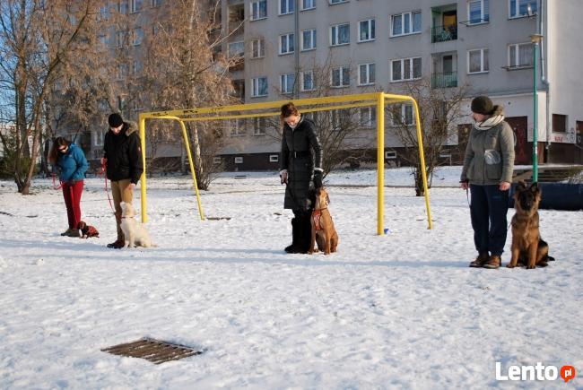 Psie przedszkole w szkole dla psów APORT