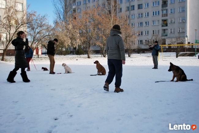 Psie przedszkole w szkole dla psów APORT