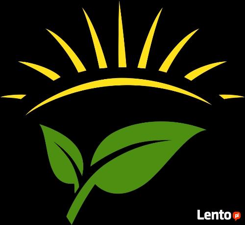 Sunny Garden- zakładanie, pielęgnacja, projektowanie ogrodów