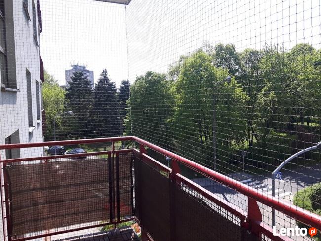 Siatka dla Kota Zabezpieczenie Balkonu