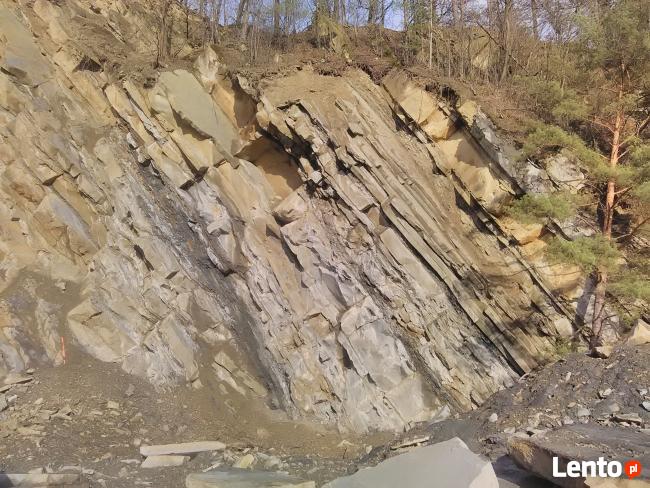 Usługi geologiczne Łódź