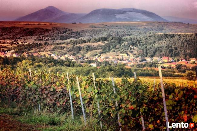 Wypocznij w uzdrowisku odwiedź węgierskich sąsiadów!