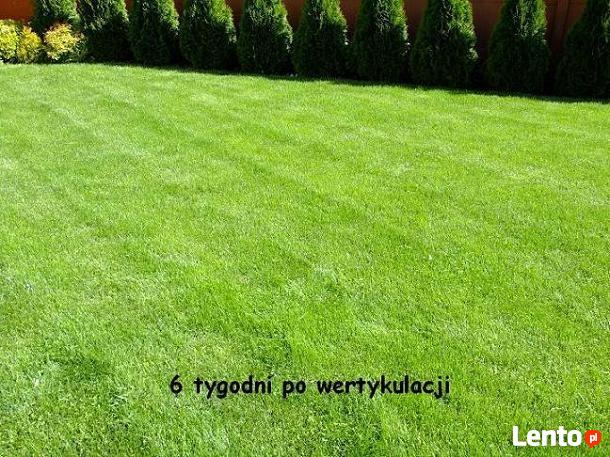 Zakładanie trawnika,niwelacja terenu ,rownanie działki