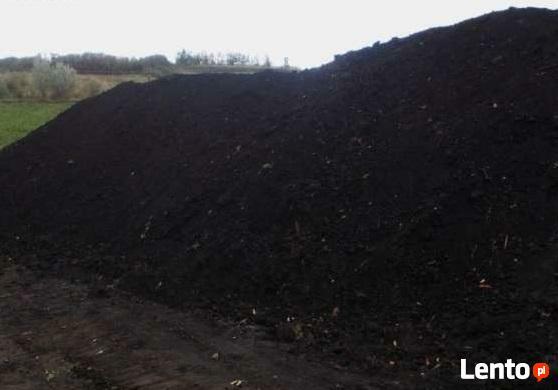 ziemia ,humus ,czarnoziem