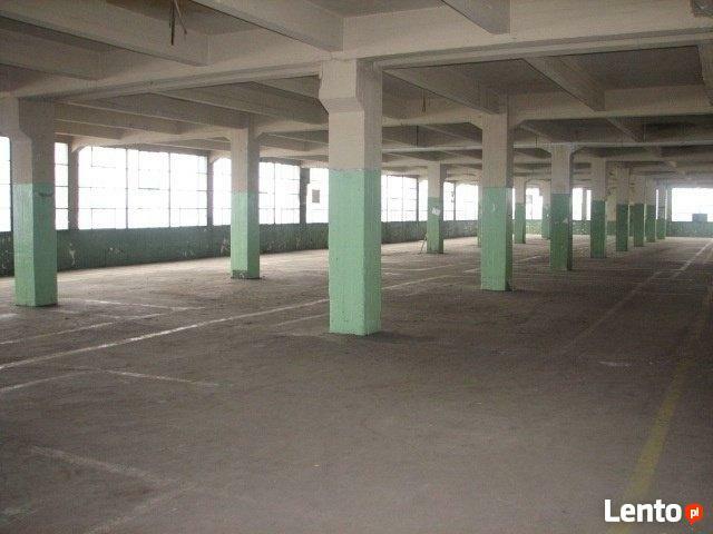 Biurowiec,Magazyn,produkcja,usługi,Krapkowice,przy A4