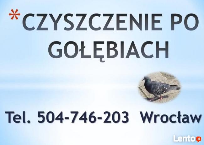 Sprzątanie balkonów po gołębiach, cena tel 504-76-203
