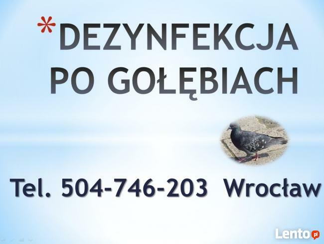 Sprzątanie balkonów po gołębiach, cena tel 504-76-203