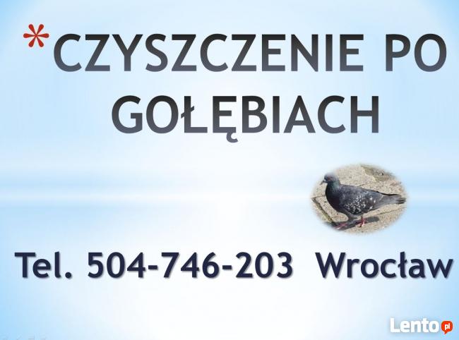 Sprzątanie balkonów po gołębiach, cena tel 504-76-203