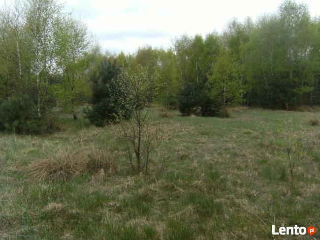 działkę budowlaną sprzedam
