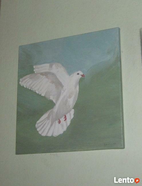 Obraz Na Płótnie 40x40cm, Olej