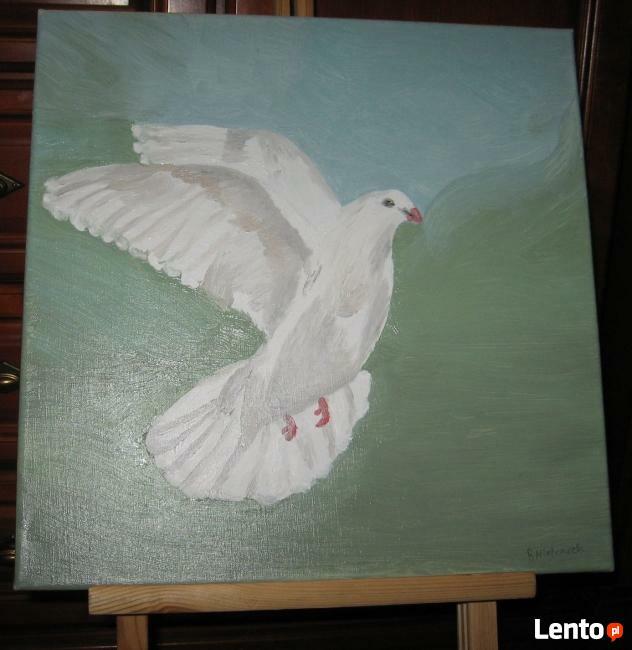 Obraz Na Płótnie 40x40cm, Olej