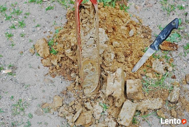Geolog. Badania gruntu. Odwierty geologiczne