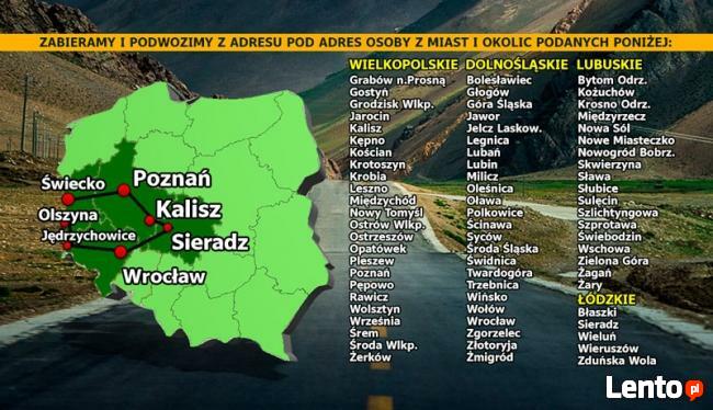 Przewozy Bus Niemcy Holandia Ostrów Grabów Ostrzeszów