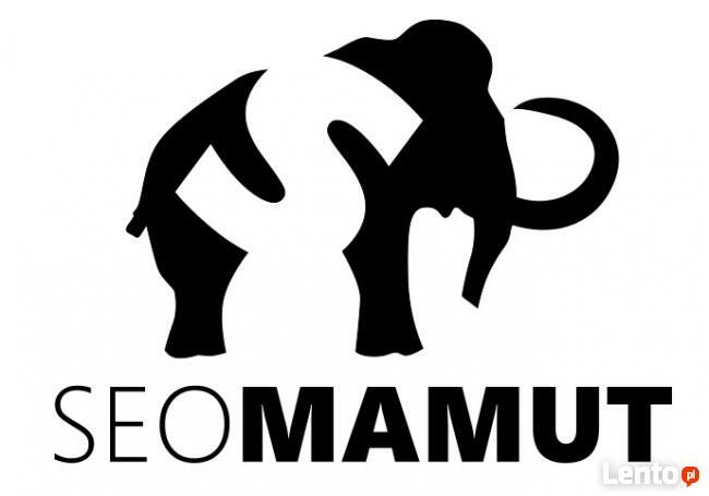 Strony internetowe www - Pozycjonowanie stron internetowych