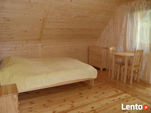 Domek letniskowy do wynajęcia nad rzeką Wartą - Raduczyce