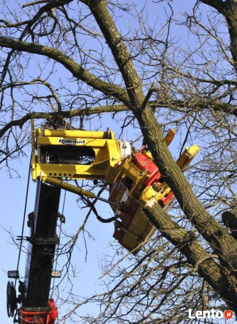 Maszyna do wycinki drzew XYLOCUT 300