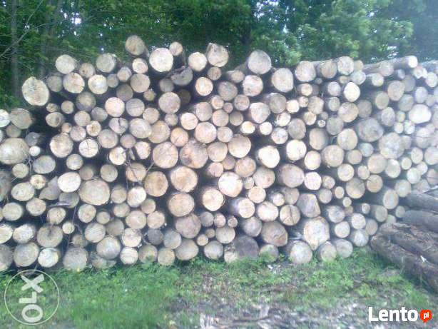 Drewno kominkowe, opałowe PROMOCJA!