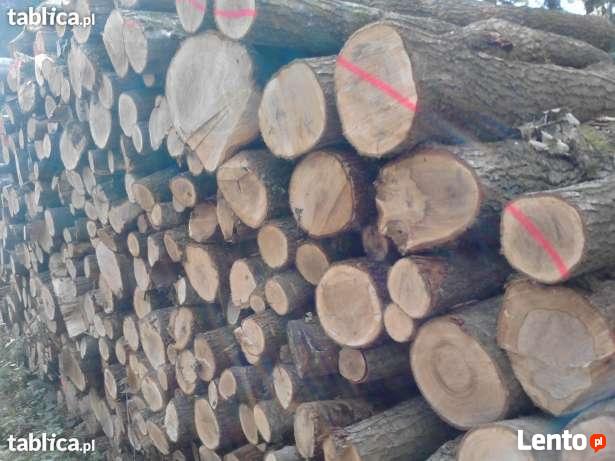 Drewno kominkowe, opałowe PROMOCJA!