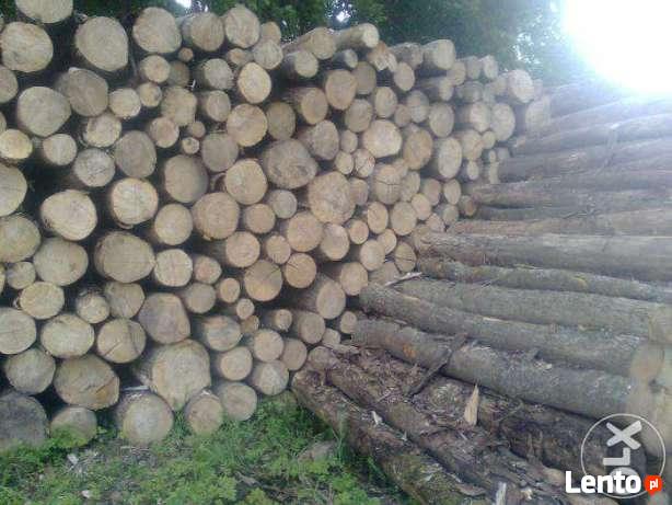 Drewno kominkowe, opałowe PROMOCJA!