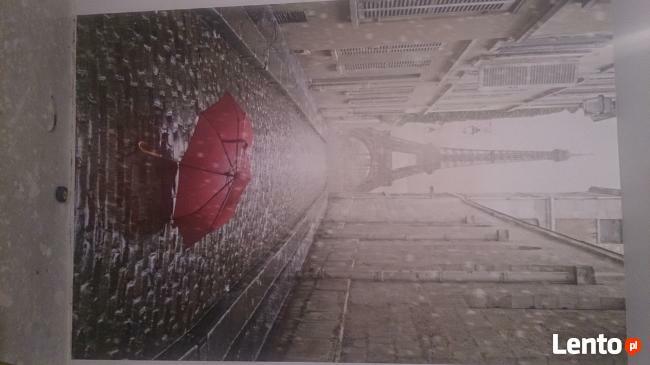 Tapetowanie-klejenie fototapet-sztukaterii-509-983-864