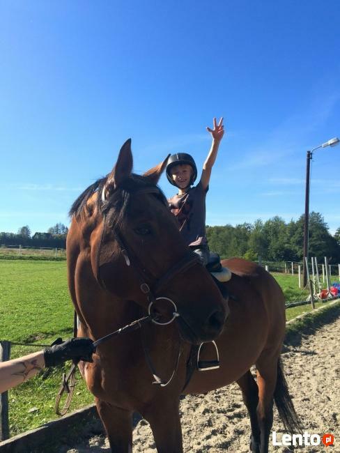 PÓŁKOLONIE SPORTOWE DLA DZIECI W BIELSKO-Biała