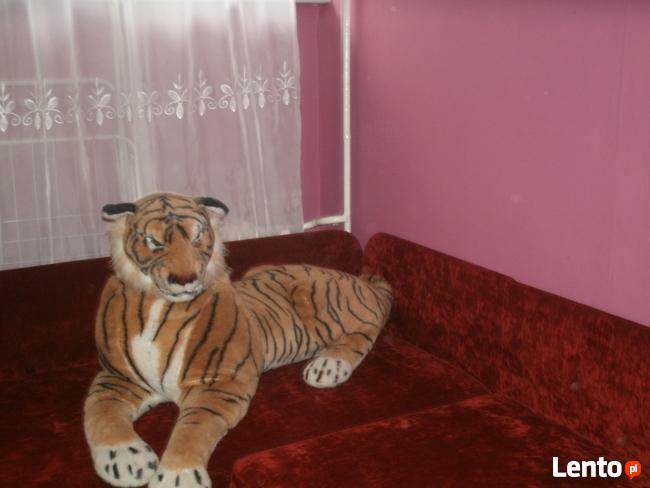 USTKA -mieszkanie samodzielne do wynajęcia na sezon 2025r