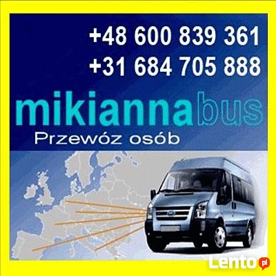 Busy do Holandii Rawicz