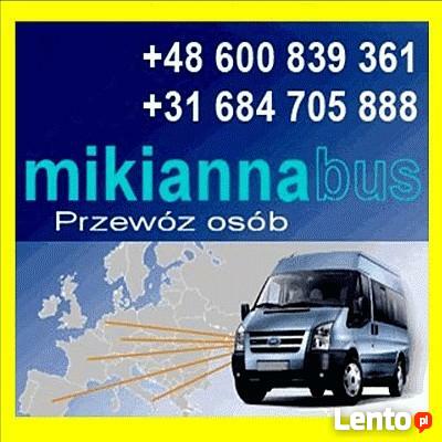 Busy do Holandii Krotoszyn