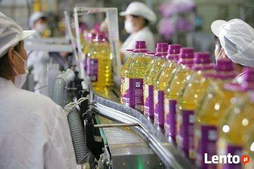 Haccp, Iso, Brc, Ifs, Fssc, GlobalGap, GMP+, REDcert, Bio