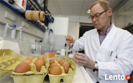 Haccp, Iso, Brc, Ifs, Fssc, GlobalGap, GMP+, REDcert, Bio