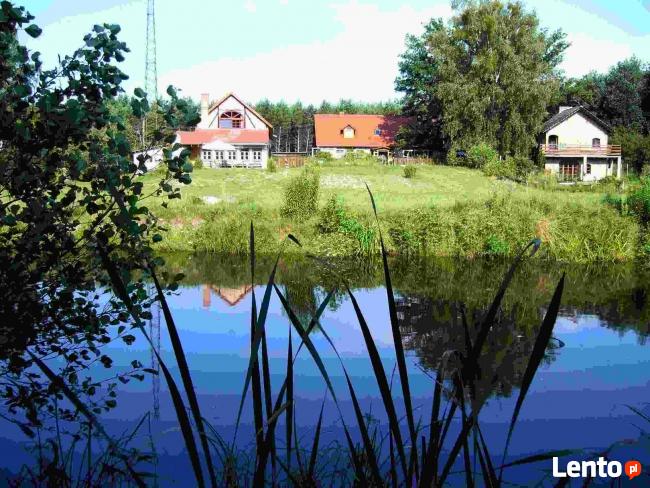 Agro - Dom Wśród Lasów zaprasza.