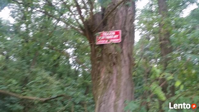 Malowniczo położona działka pod siedlisko lub rekreacje