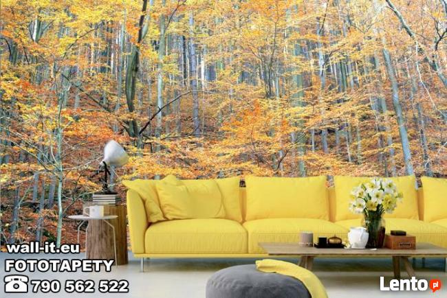 Fototapety LAS Fototapeta DRZEWA Producent na wymiar UNIKATY