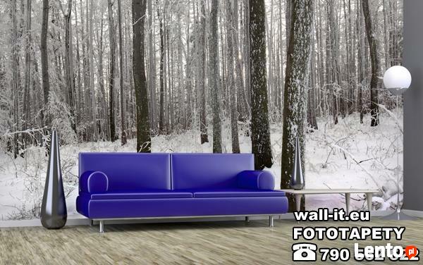 Fototapety LAS Fototapeta DRZEWA Producent na wymiar UNIKATY