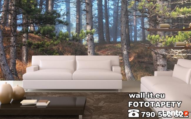 Fototapety LAS Fototapeta DRZEWA Producent na wymiar UNIKATY