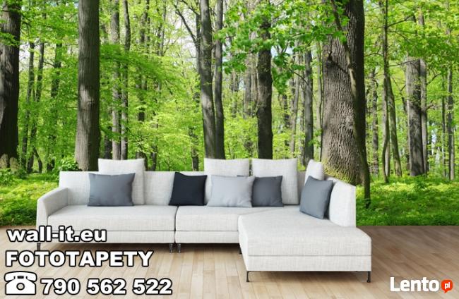 Fototapety LAS Fototapeta DRZEWA Producent na wymiar UNIKATY