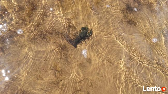 DOMEK+łódka=wypoczynek Wolne od 21-08