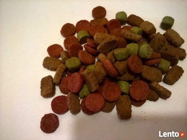 FAVORIT Wołowina 30 kg PROMOCJA