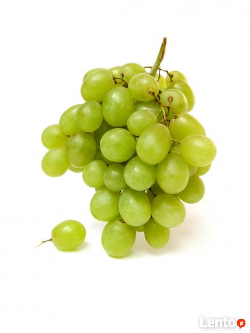 DIETETYK KLINICZNY Poznań ulica Pasieka 36a, Słowiańska