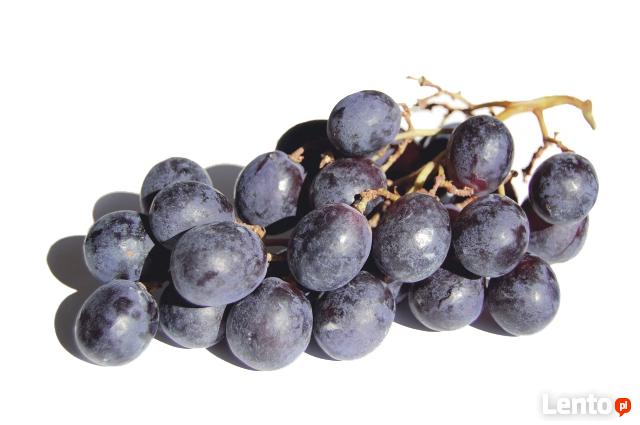 DIETETYK KLINICZNY Poznań ulica Pasieka 36a, Słowiańska