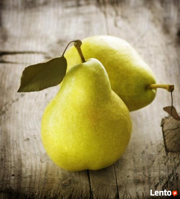 DIETETYK KLINICZNY Poznań ulica Pasieka 36a, Słowiańska