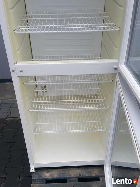Szafa chłodnicza witryna lodówka regał 60cm.Snaige Dostawa