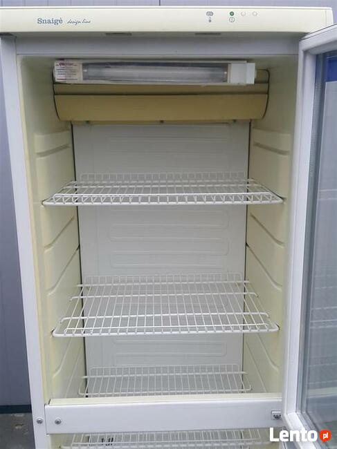 Szafa chłodnicza witryna lodówka regał 60cm.Snaige Dostawa