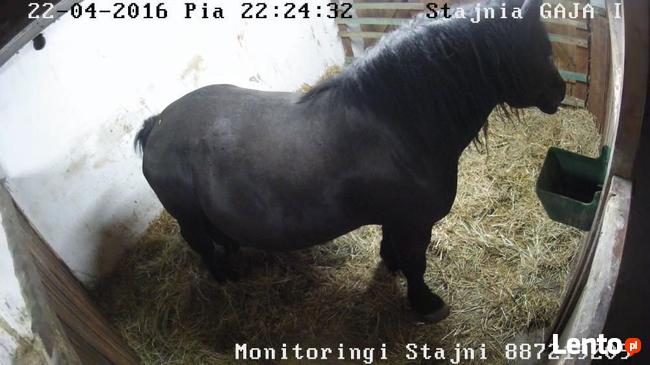 Profesjonalne monitoringi stajni, kamery do stajni, kamera,